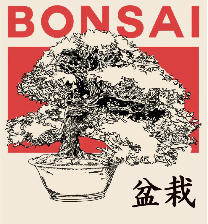 Beginner Bonsai