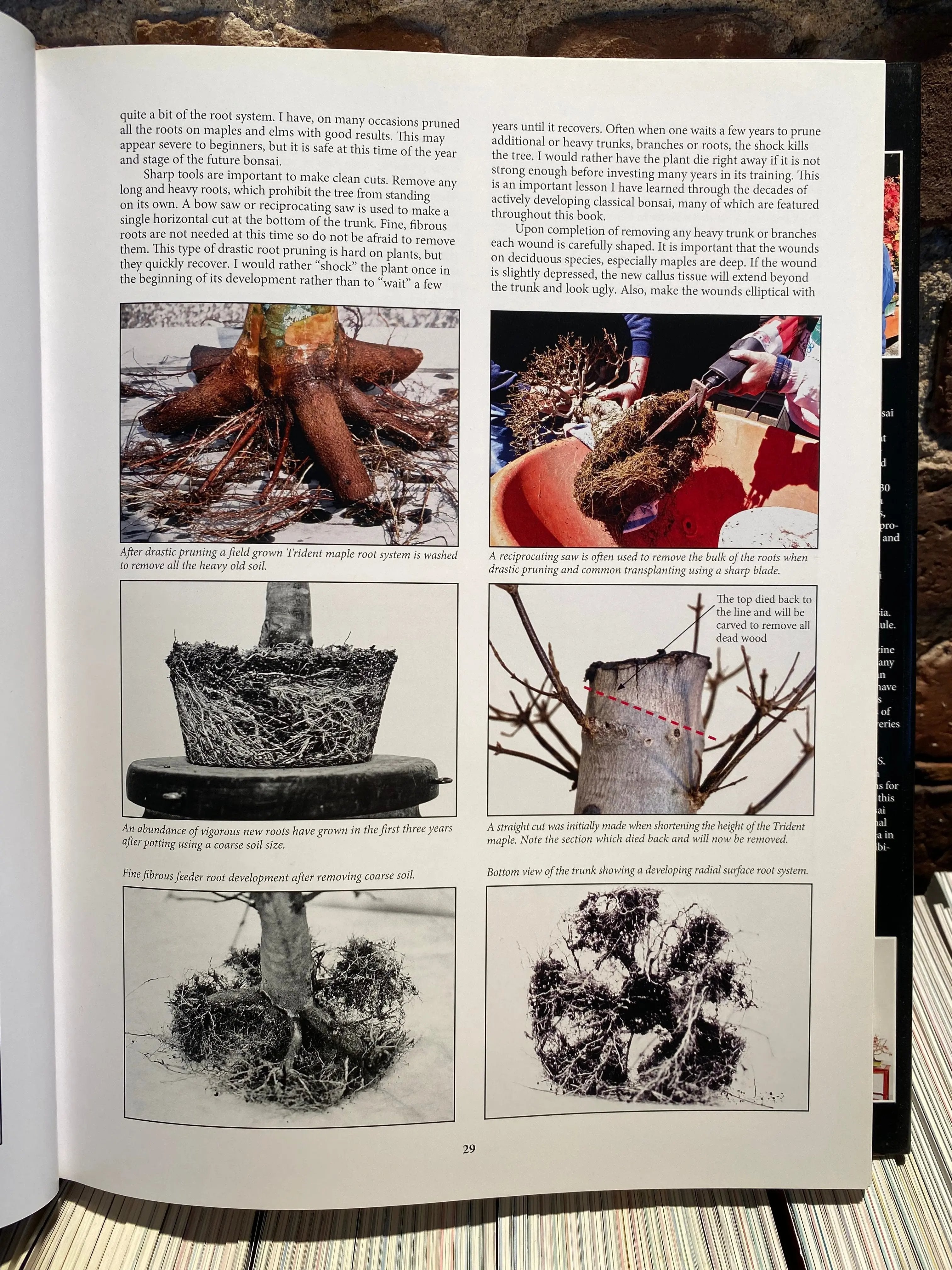 Classical Bonsai Art (unsigned) CB Books