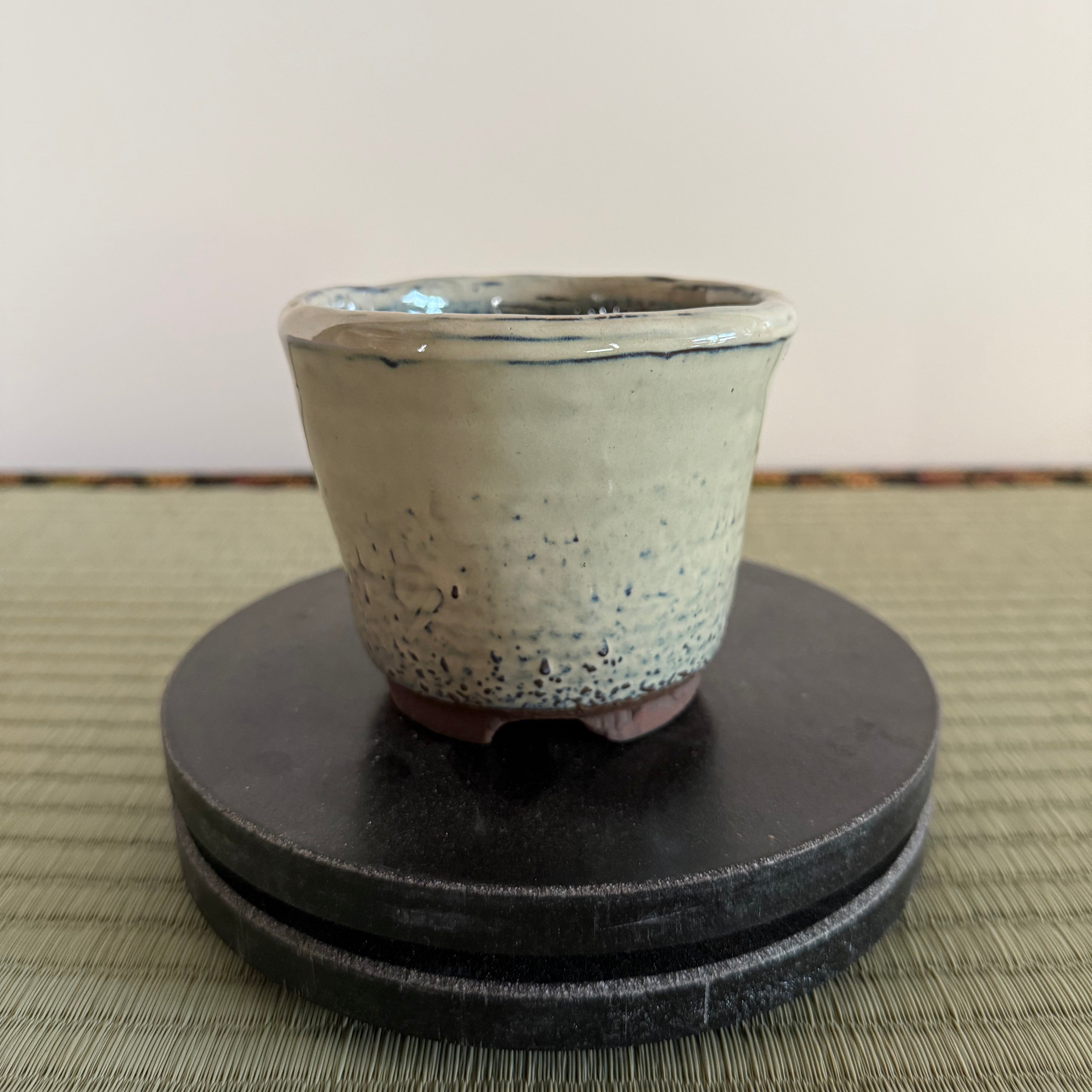 Bonsai Pot