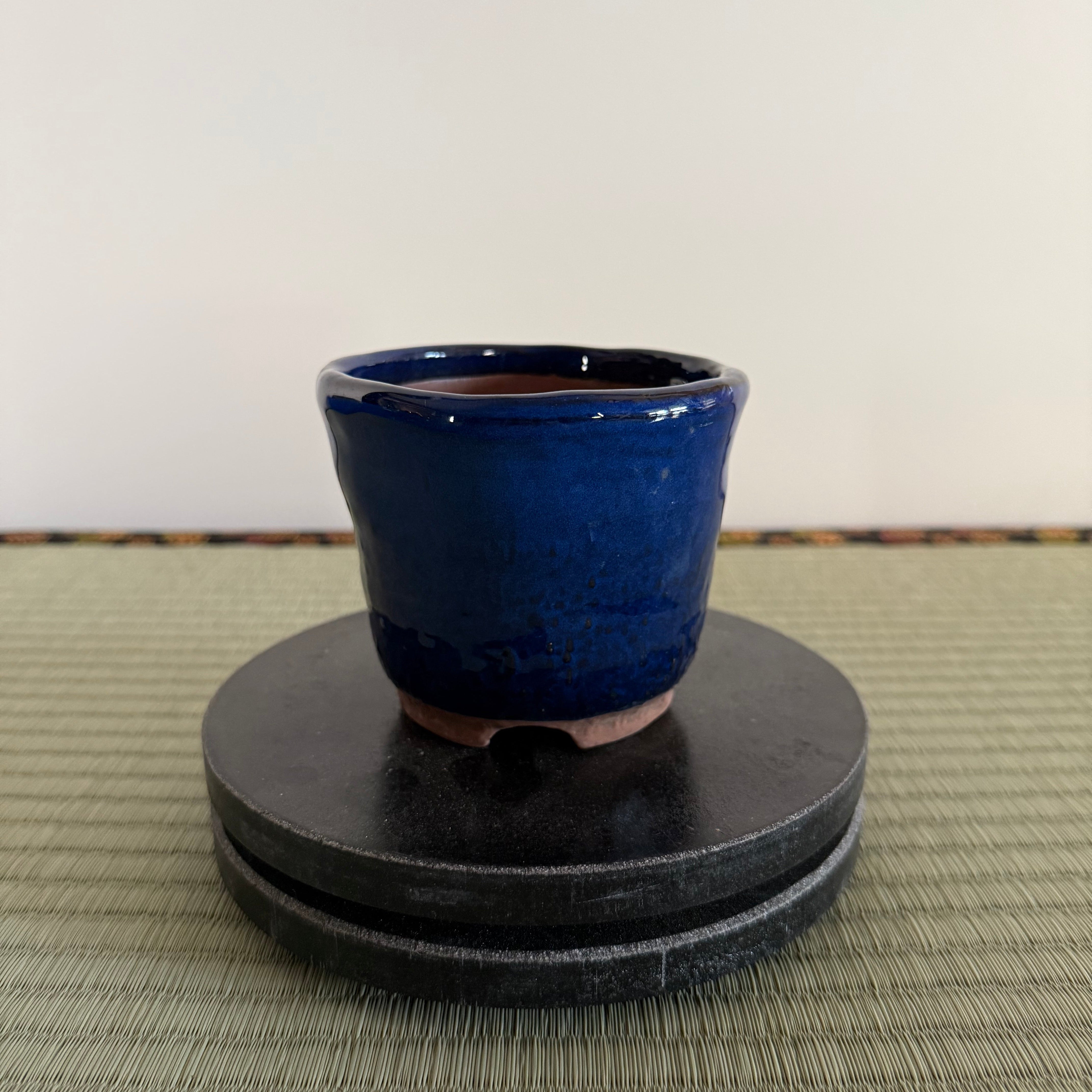 Bonsai Pot