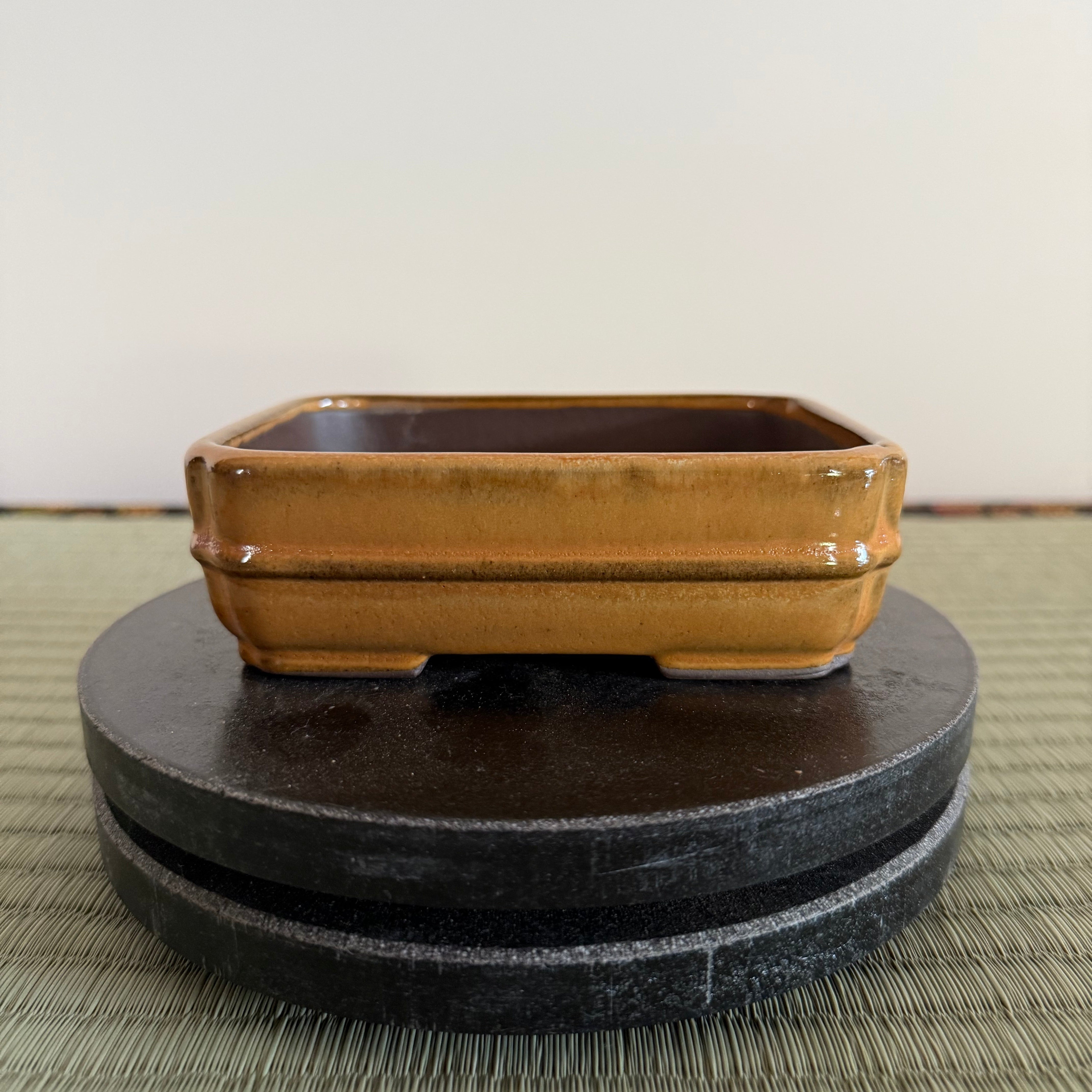 Bonsai Pot