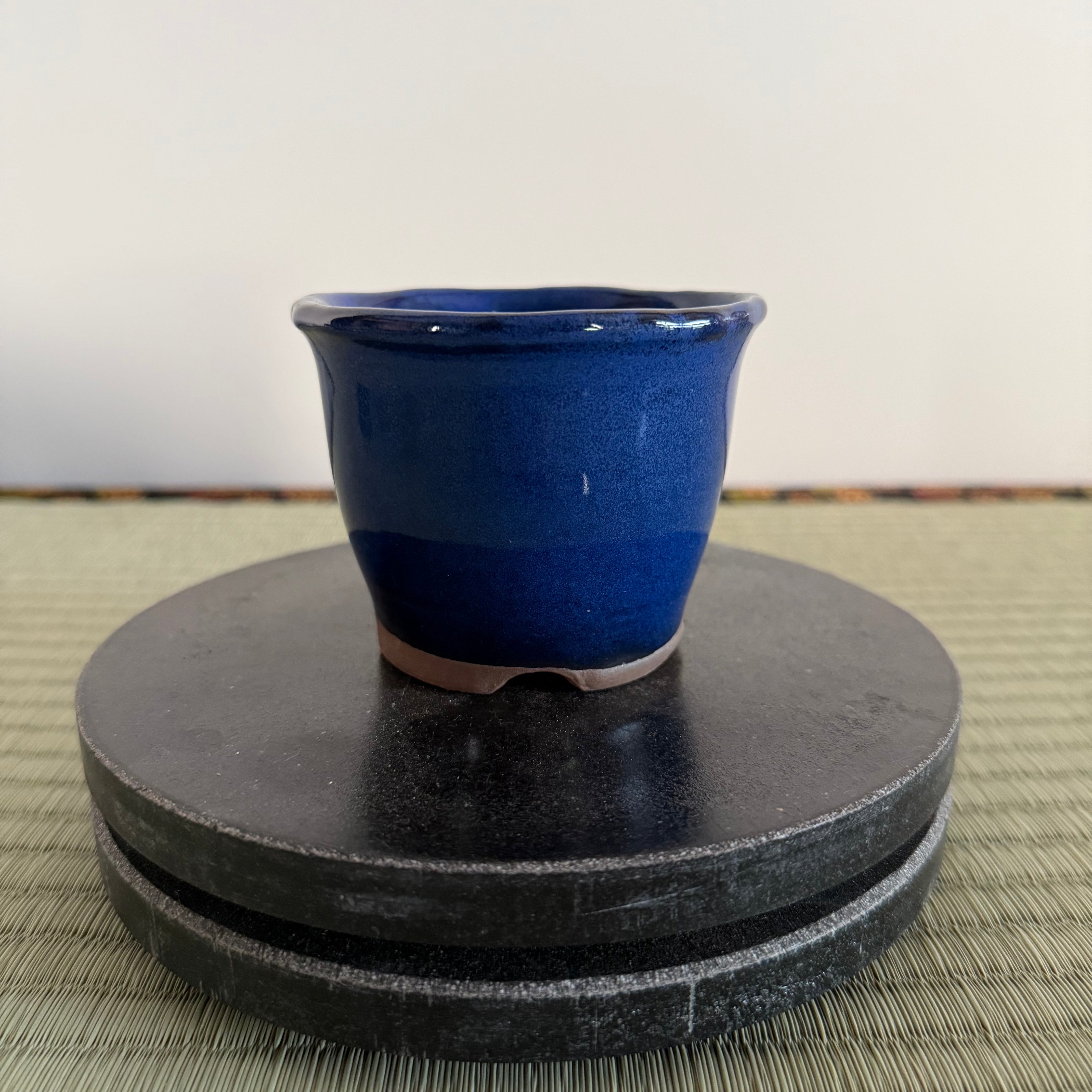 Bonsai Pot
