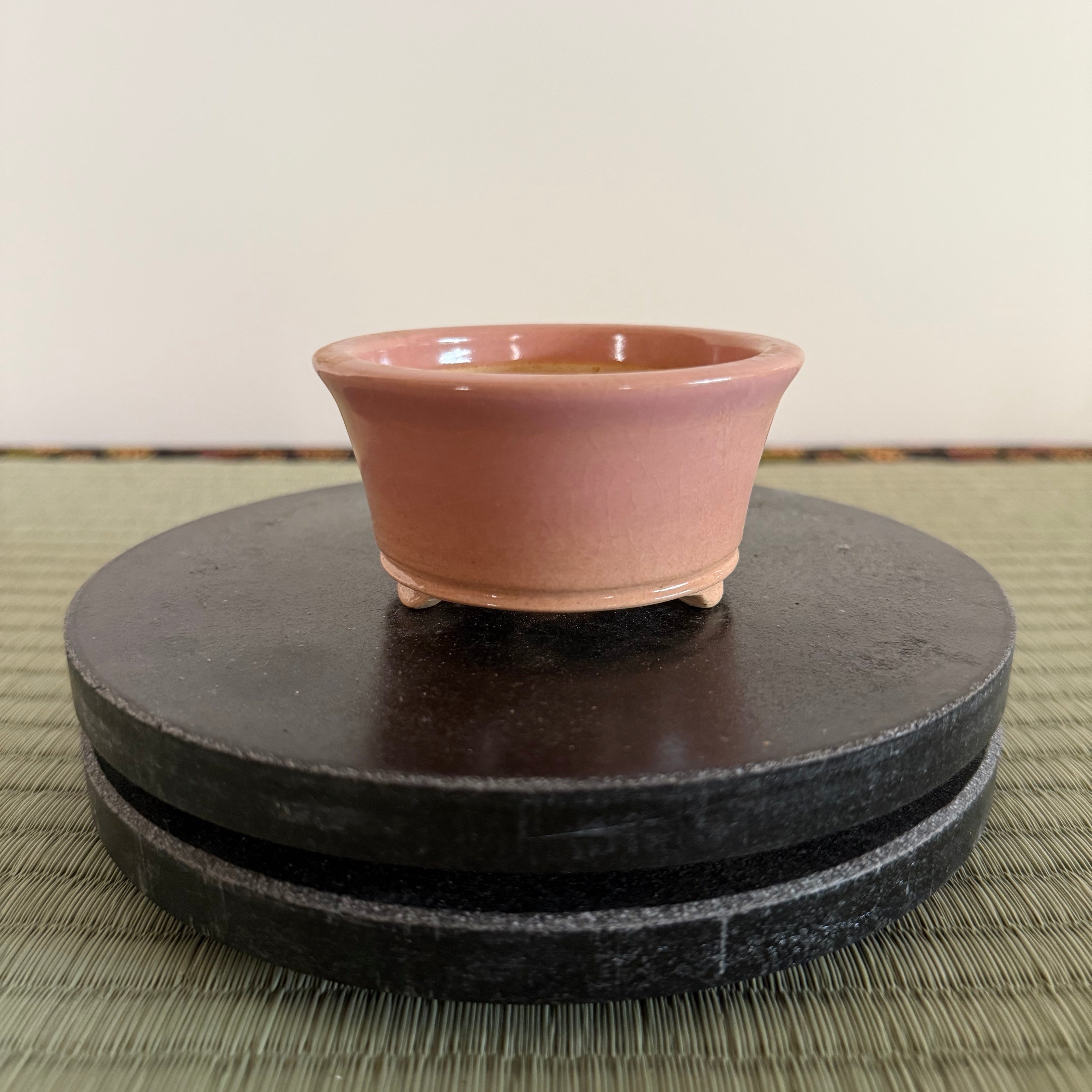 Bonsai Pot