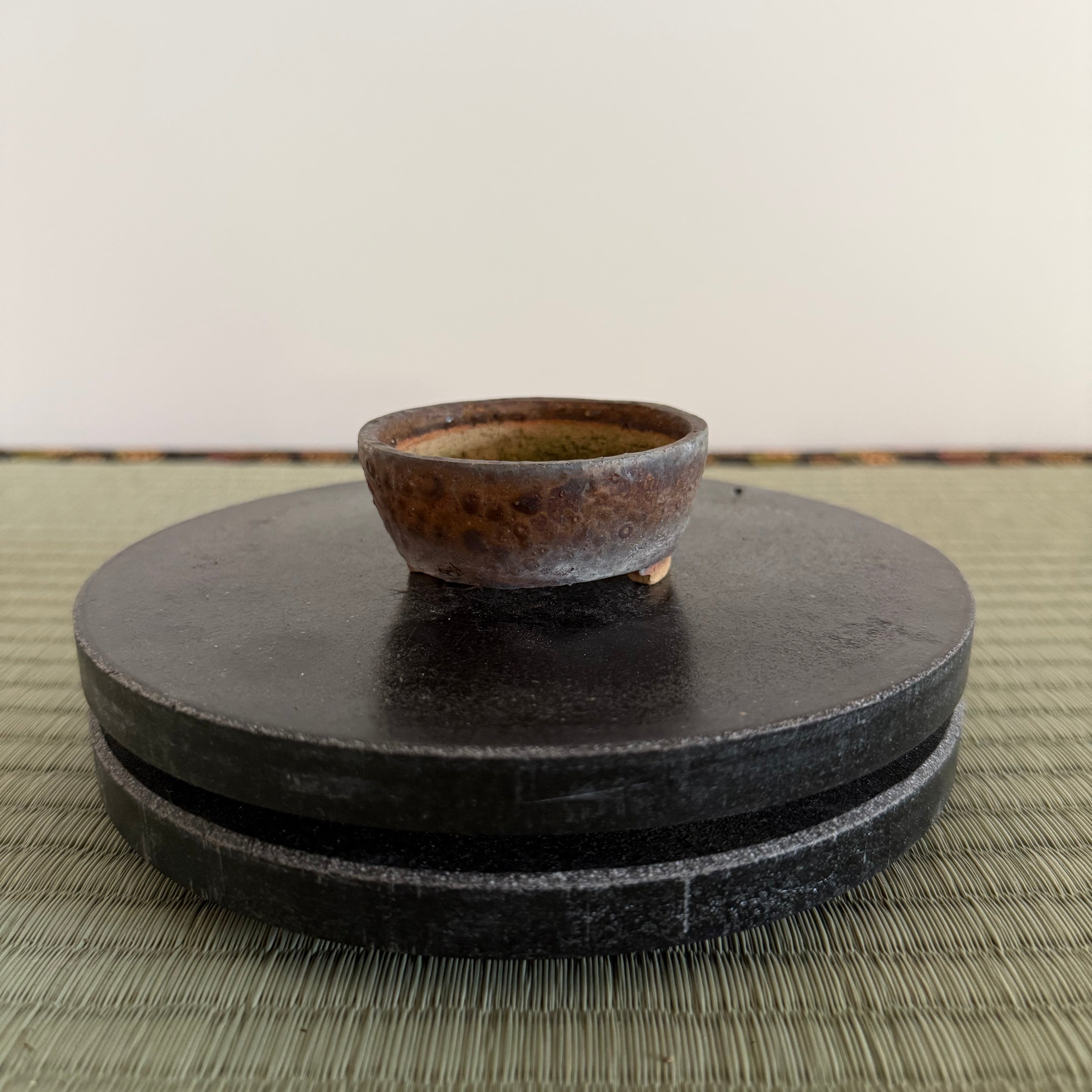 Bonsai Pot