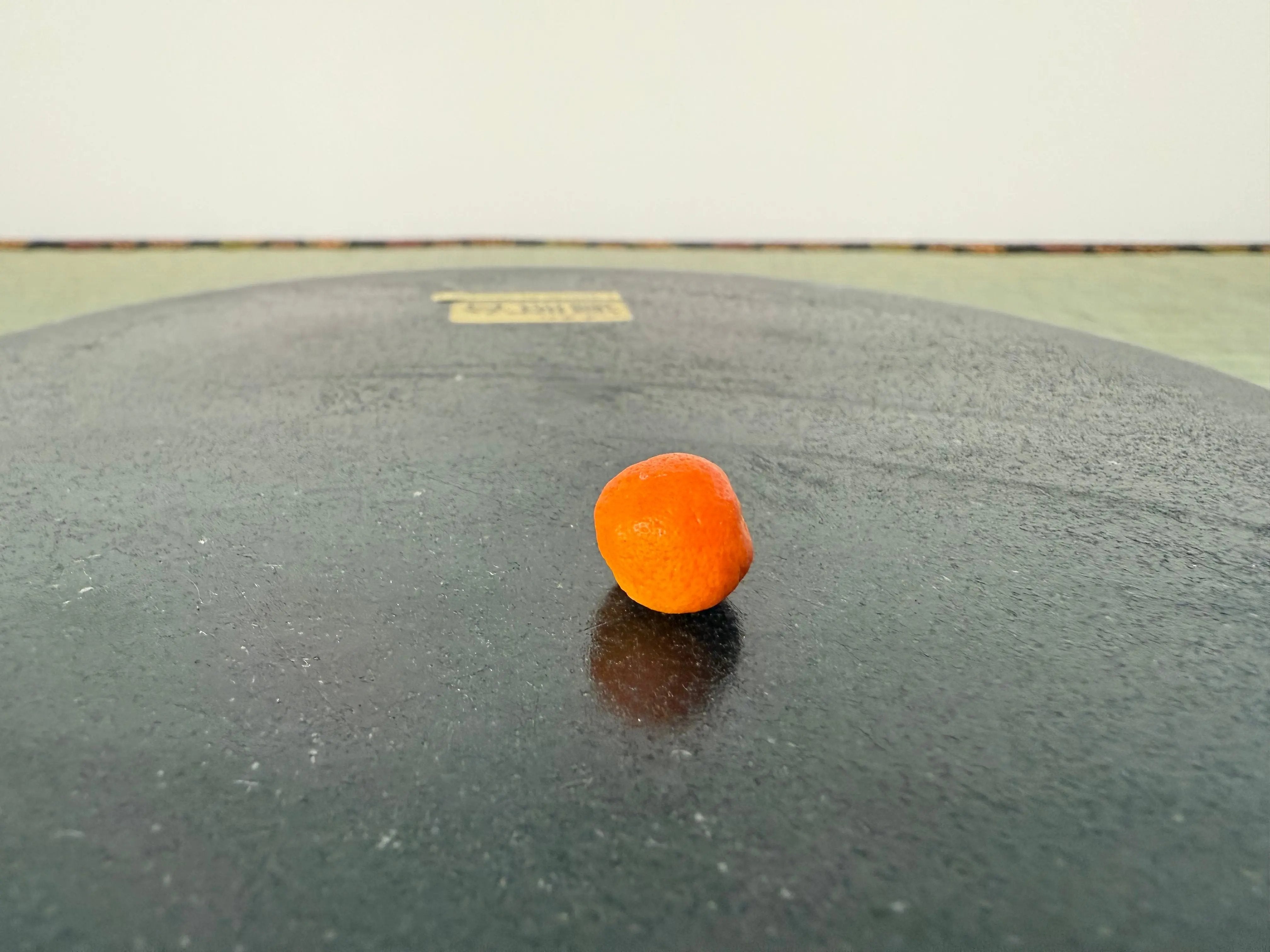 HONG KONG KUMQUAT Canada Bonsai