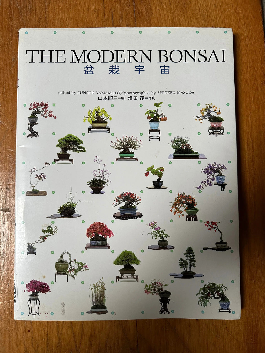 The Modern Bonsai Canada Bonsai
