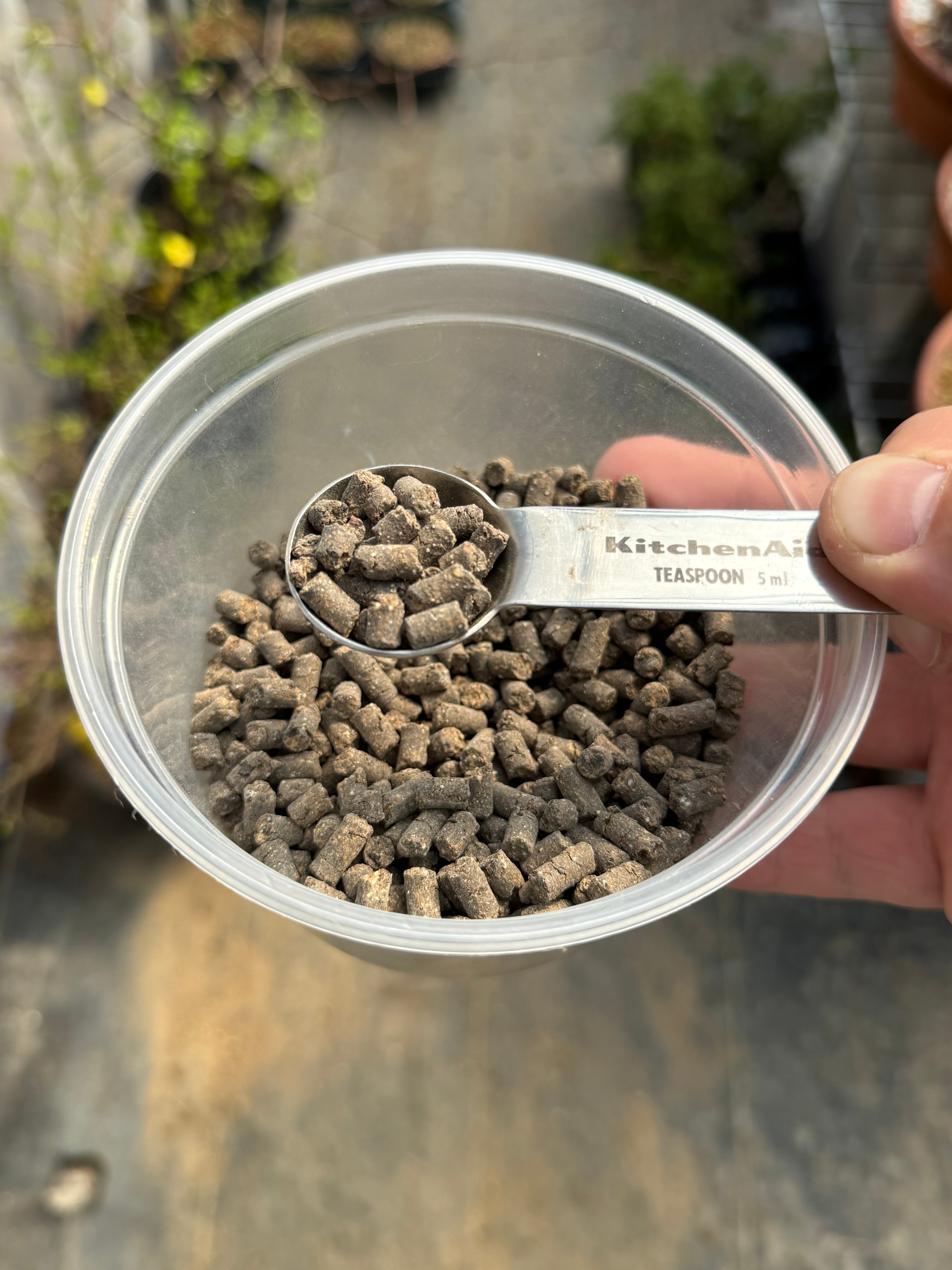 Satsuki Azalea fertilizer