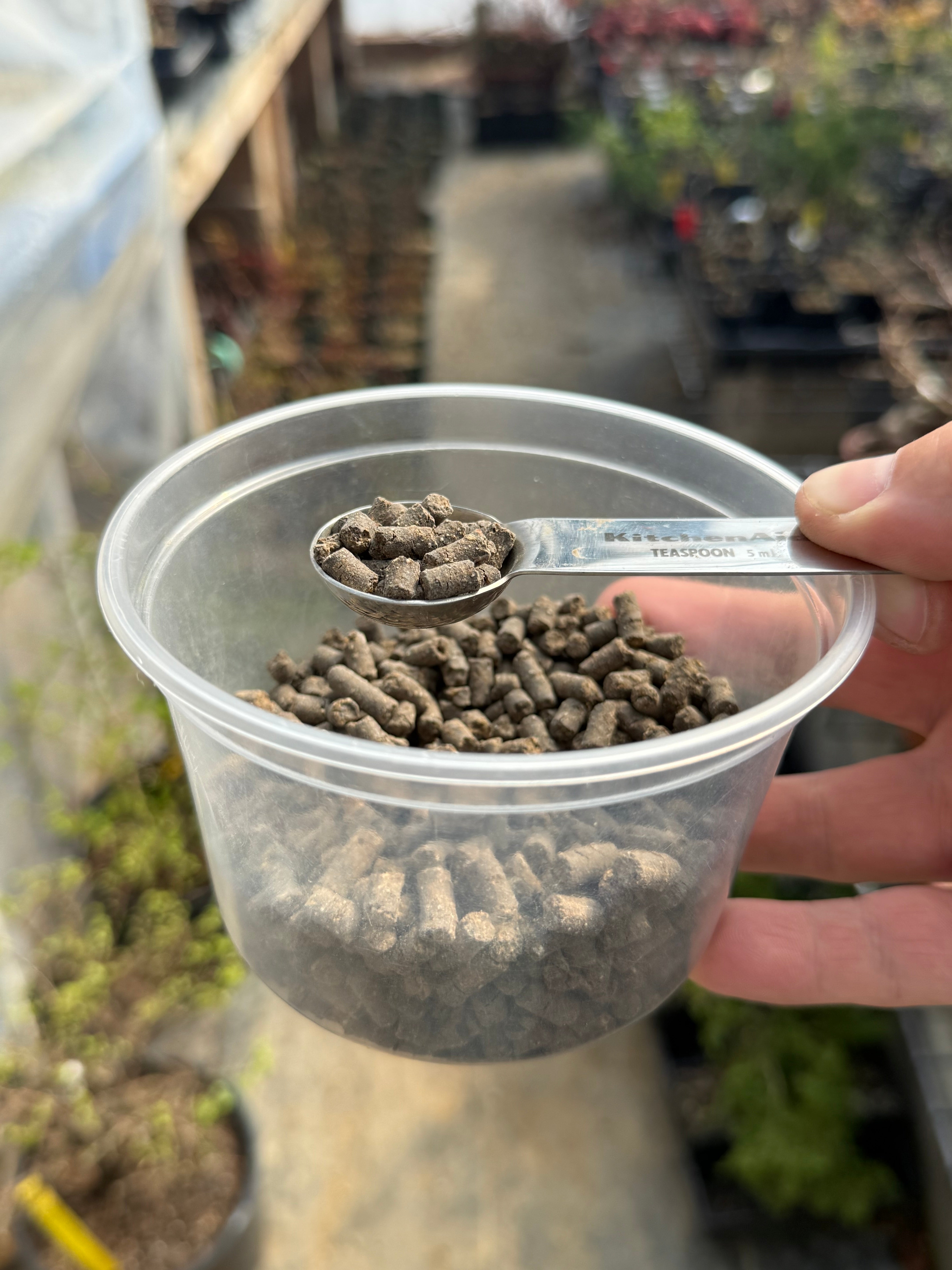 Satsuki Azalea fertilizer