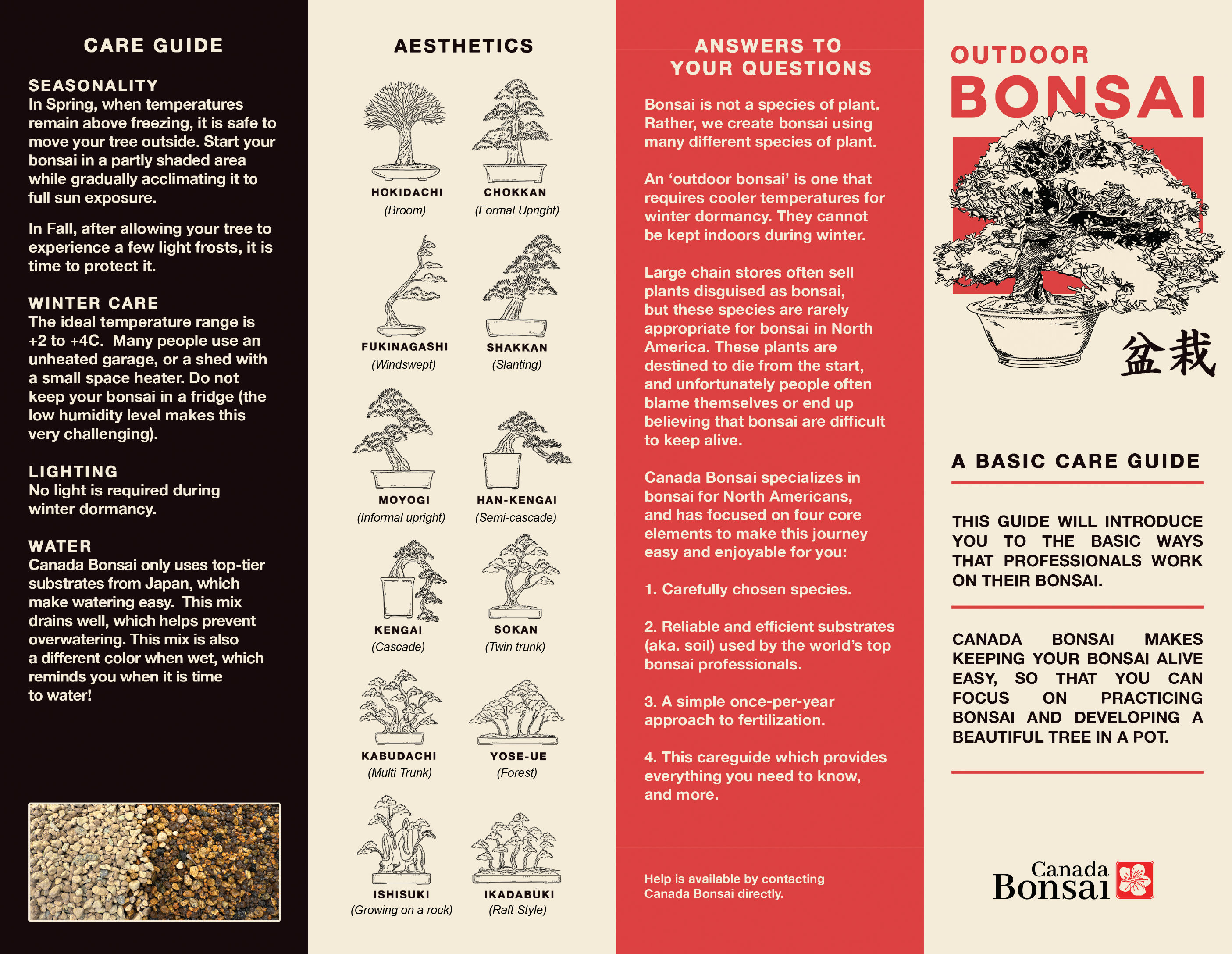 Create your own Bonsai Kit (Outdoor) - FREE SHIPPING
