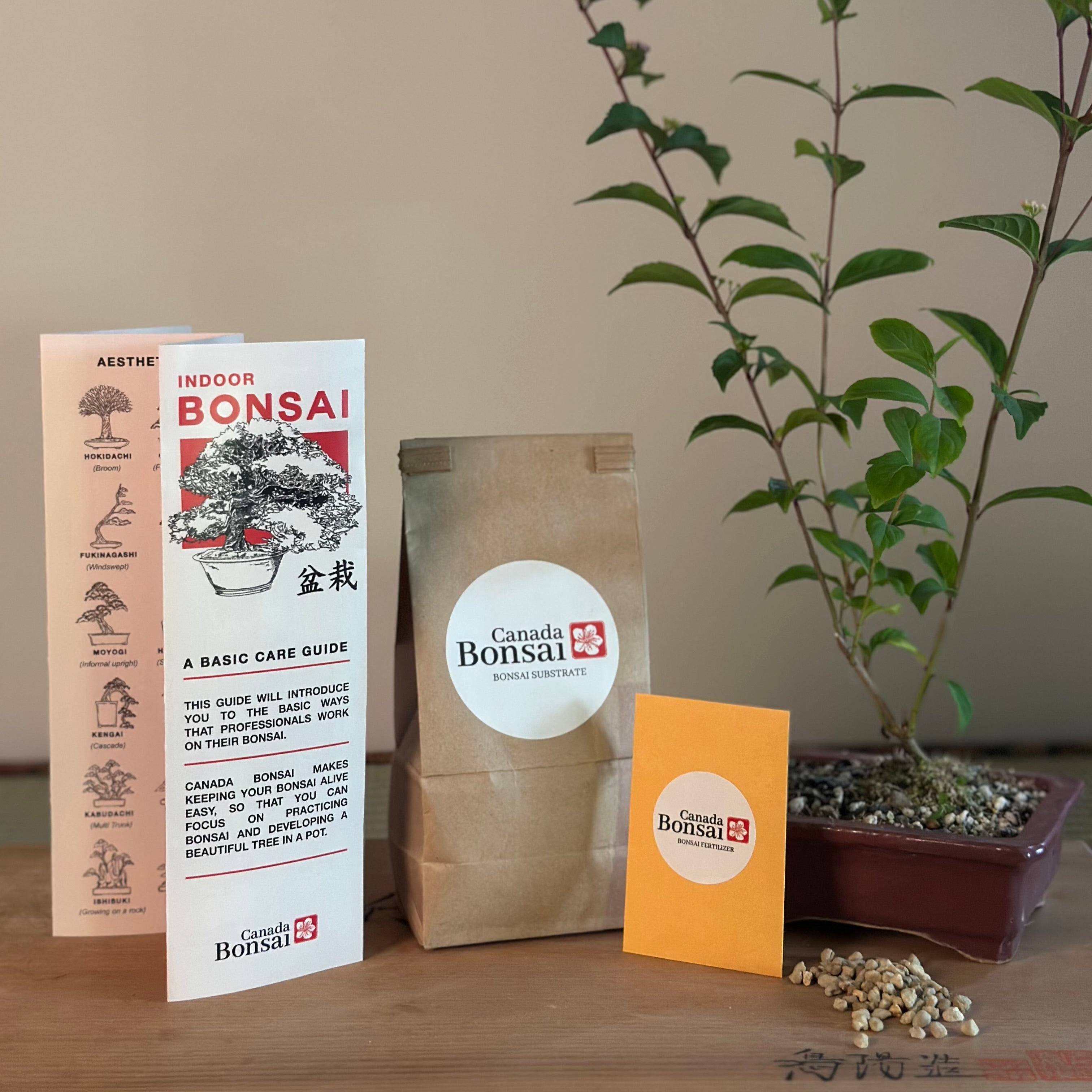 Bonsai Kit (Outdoor)