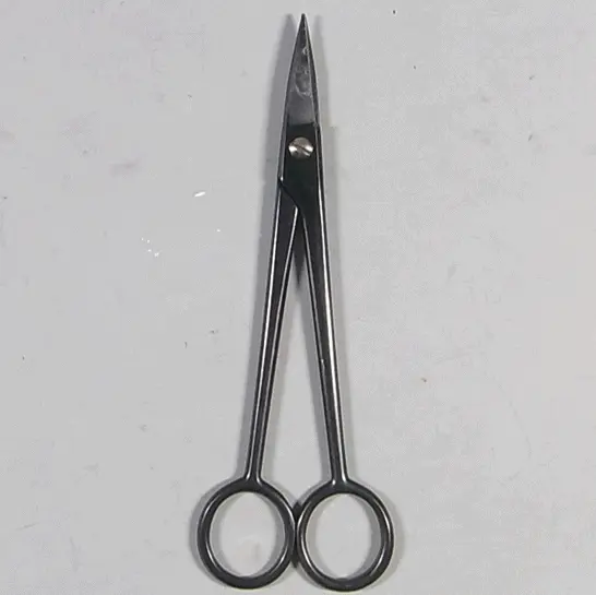 Scissors (for white pine buds)