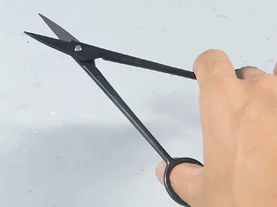 Scissors (for white pine buds) CB Tools