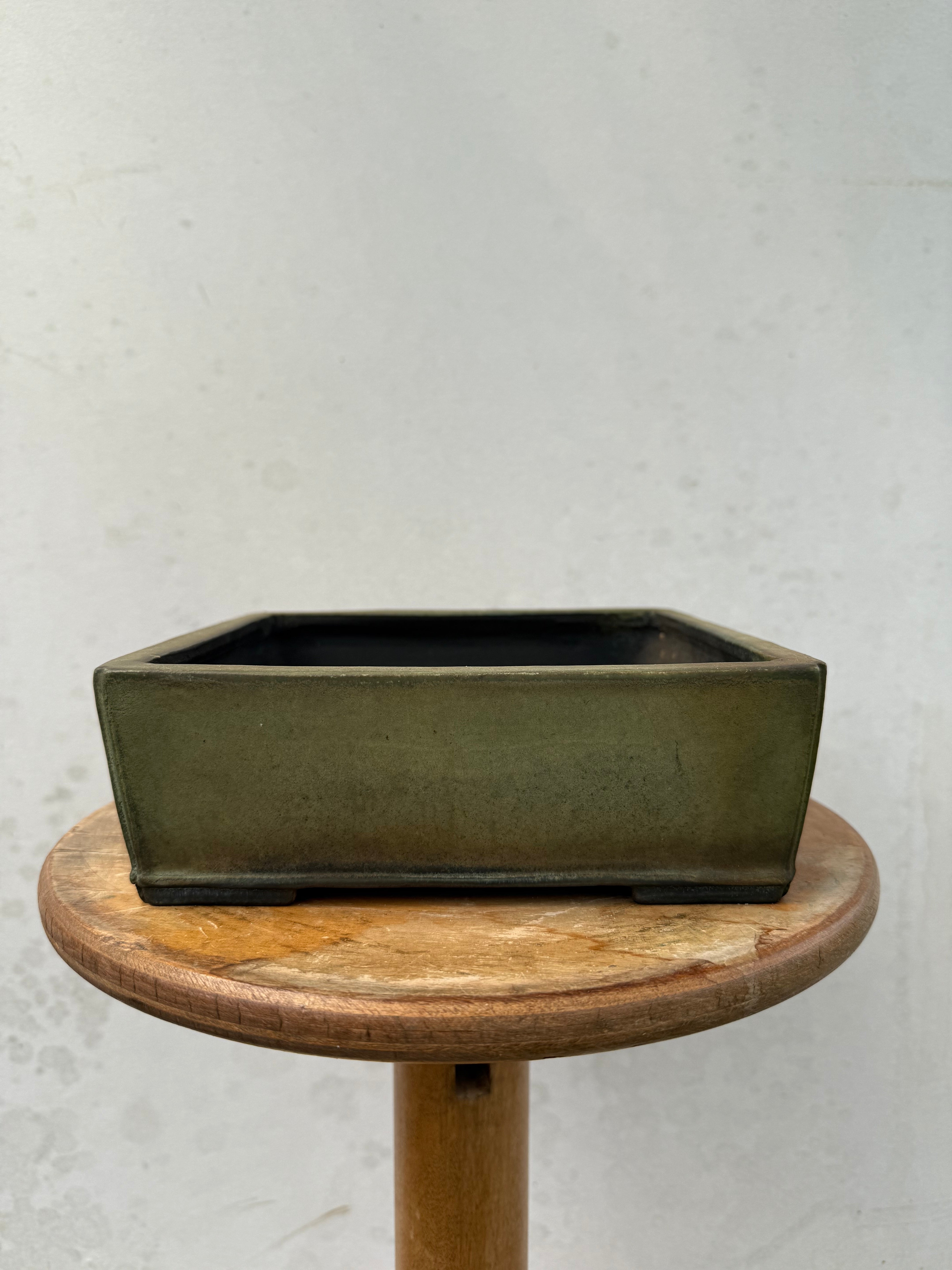 Koyo #184