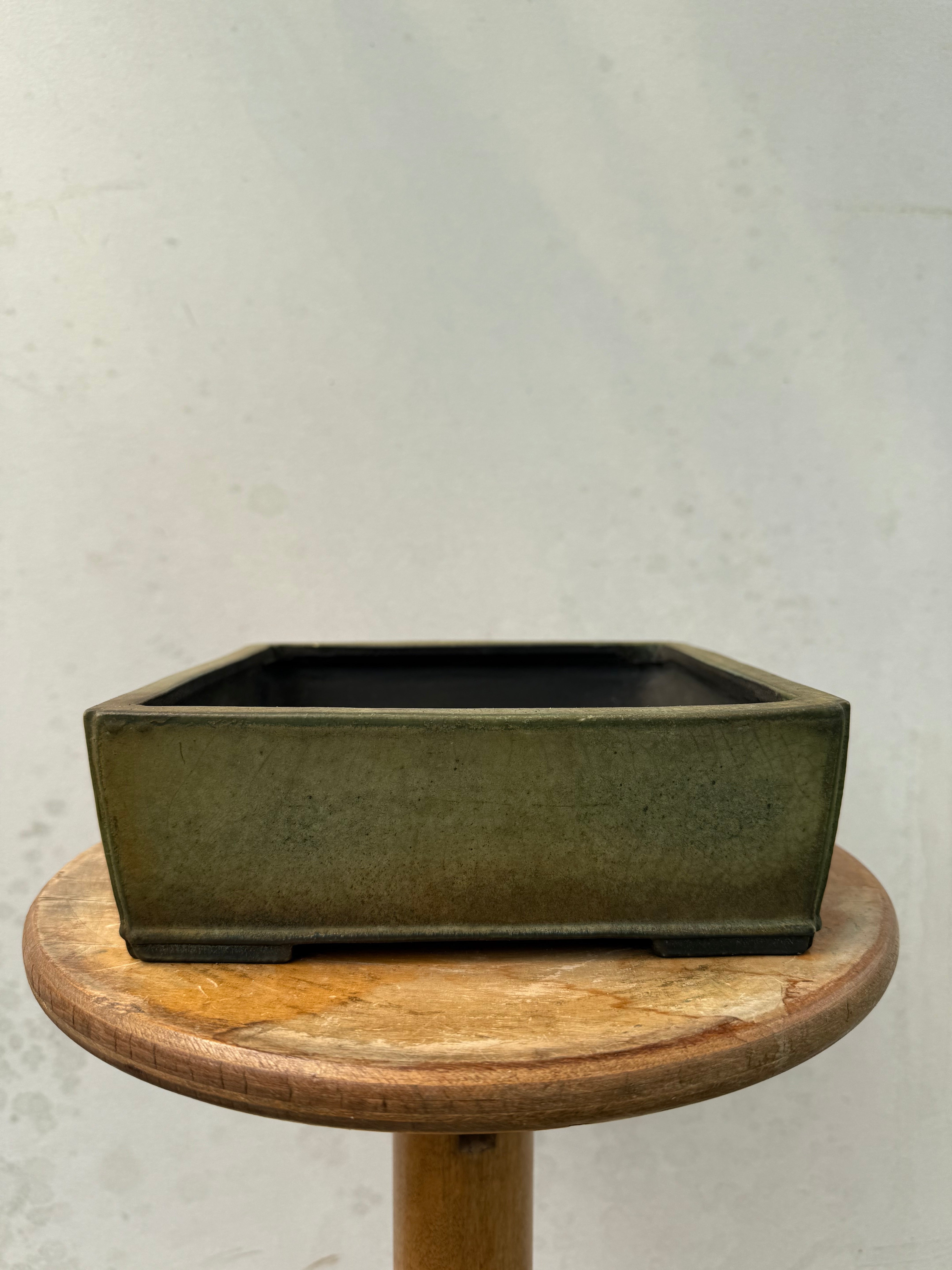 Koyo #184