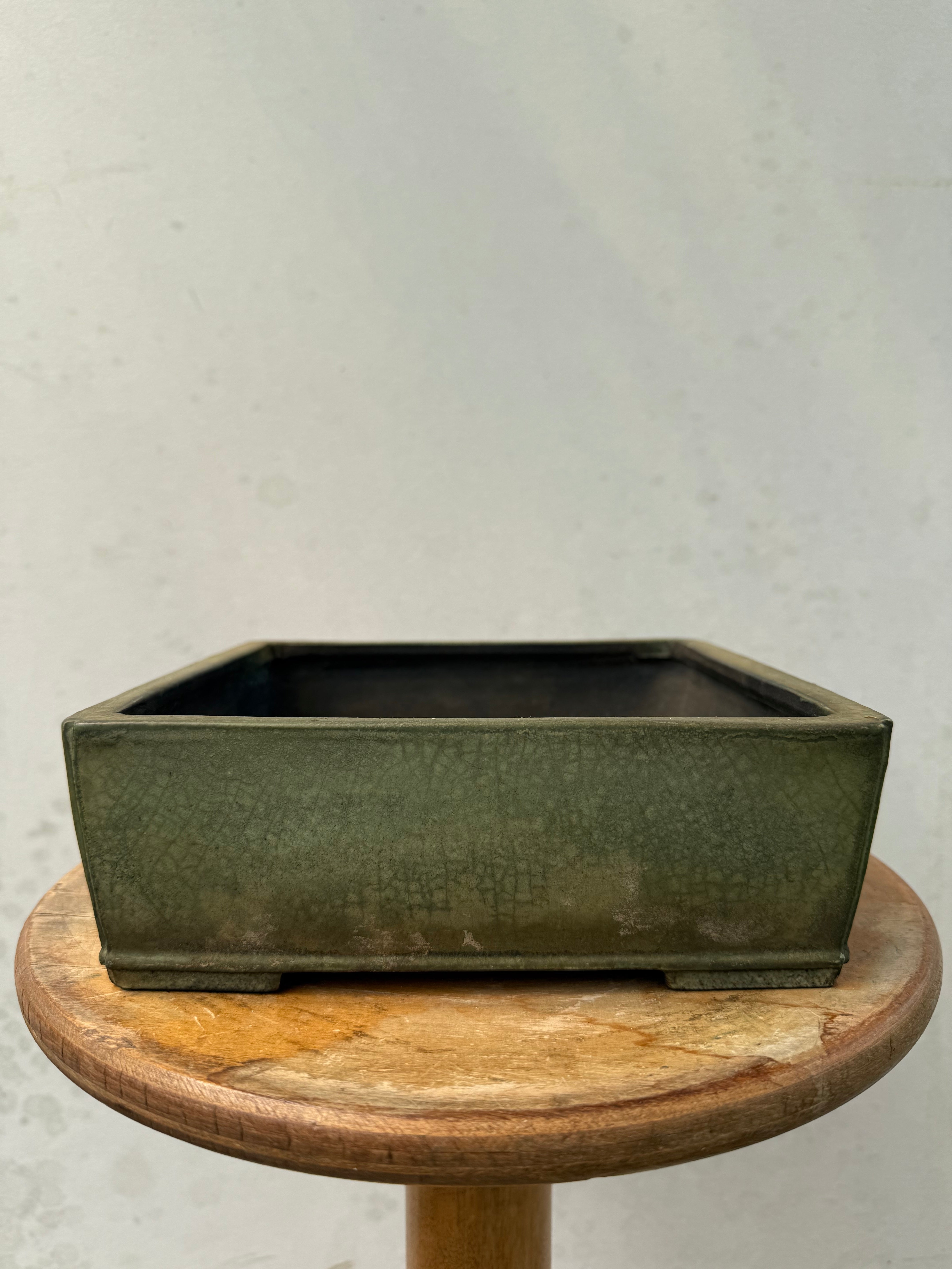 Koyo #184