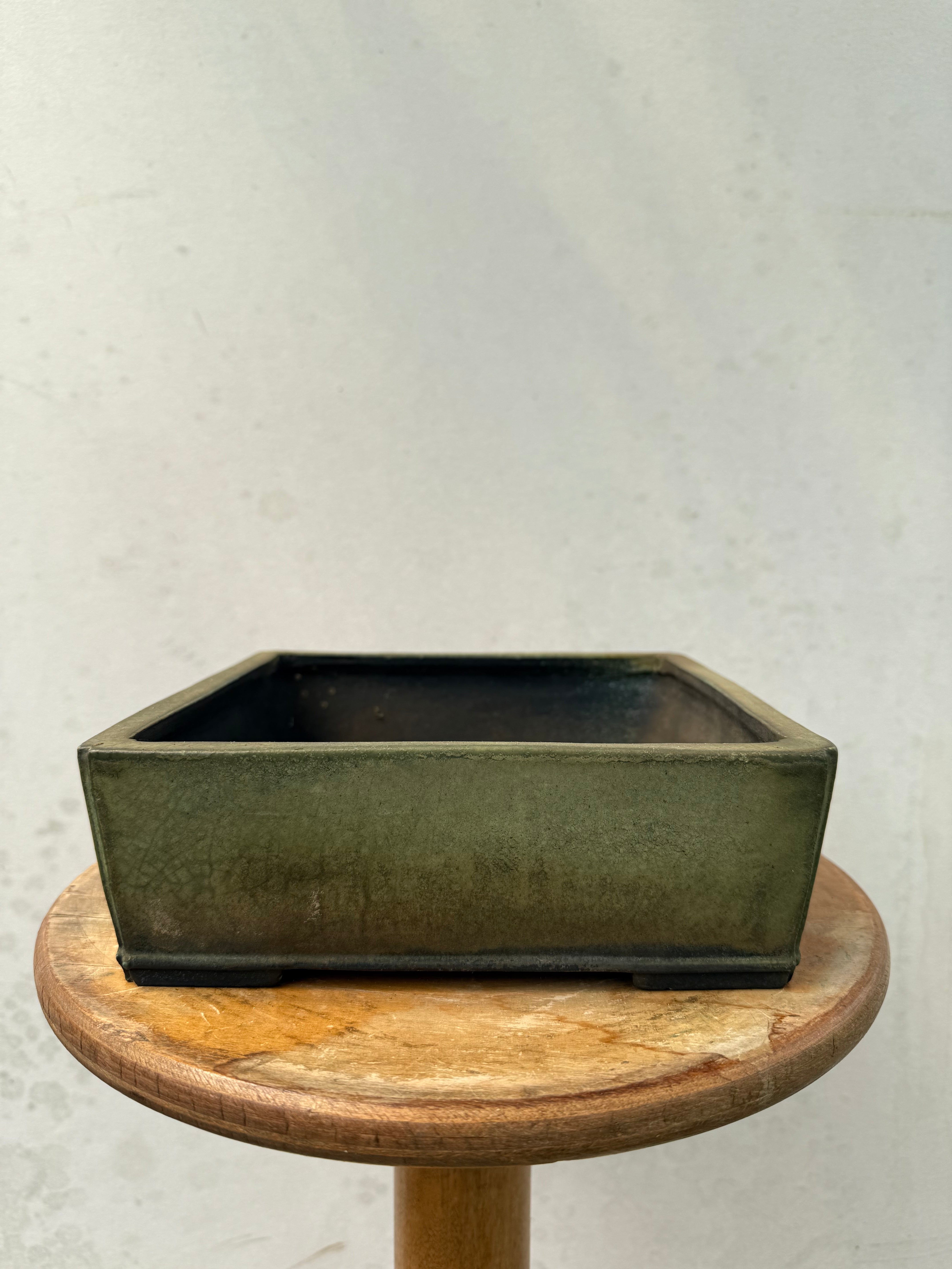 Koyo #184