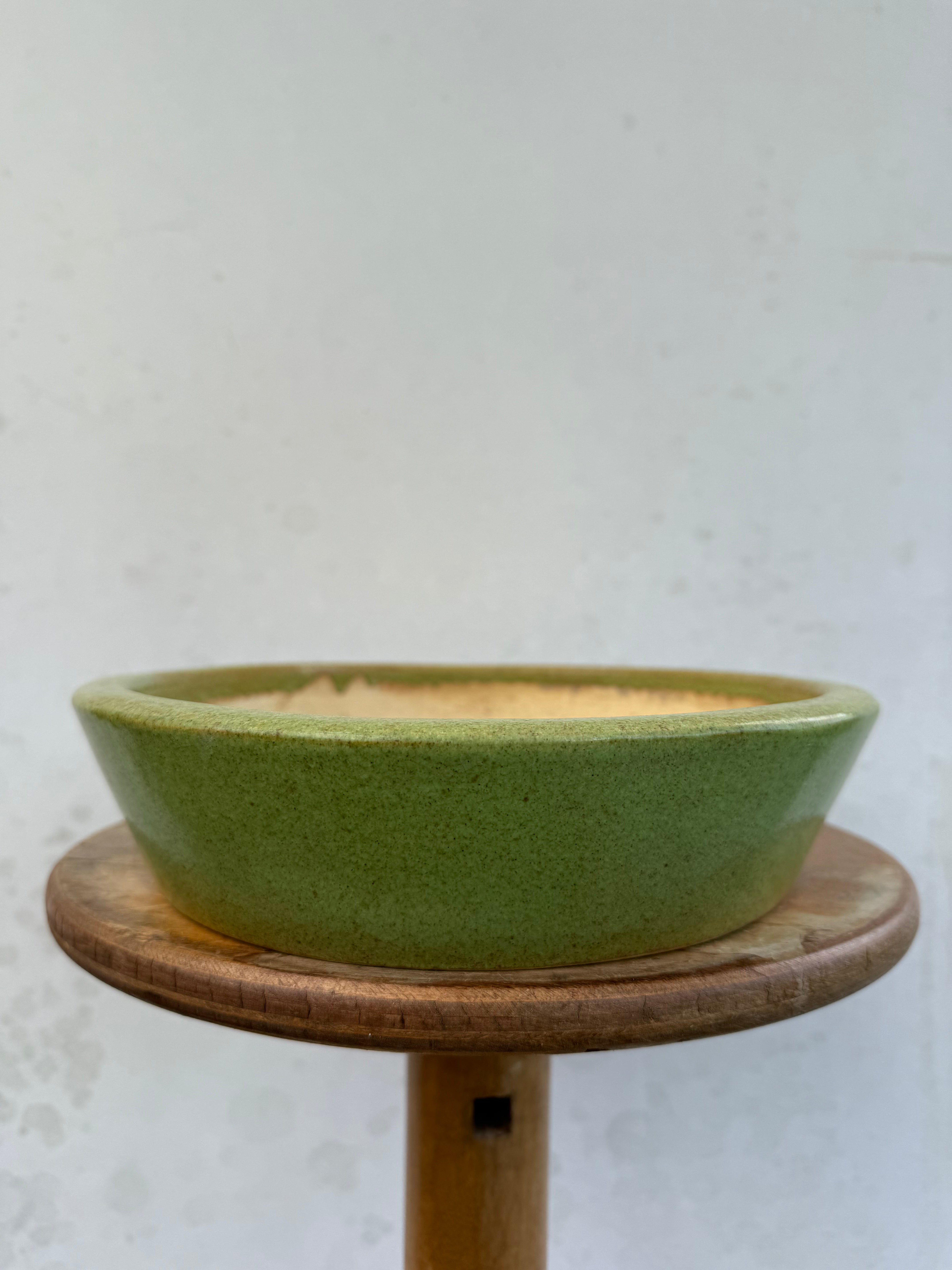 Koyo #185