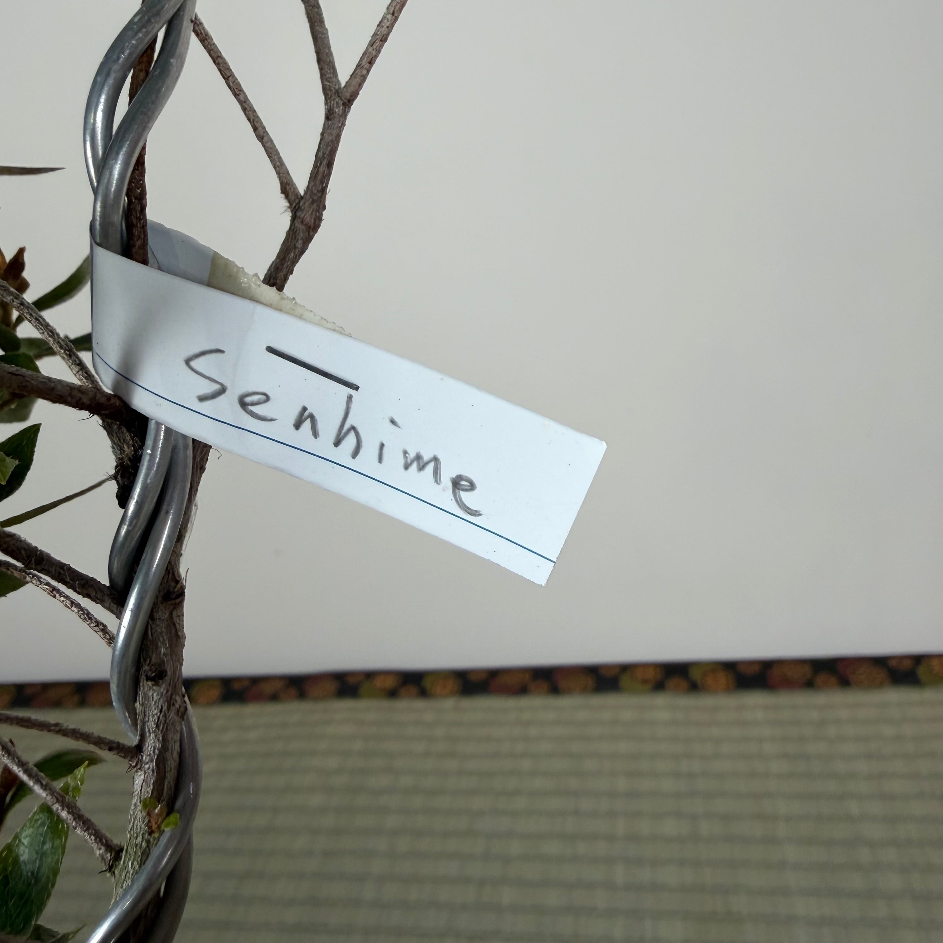 SENHIME