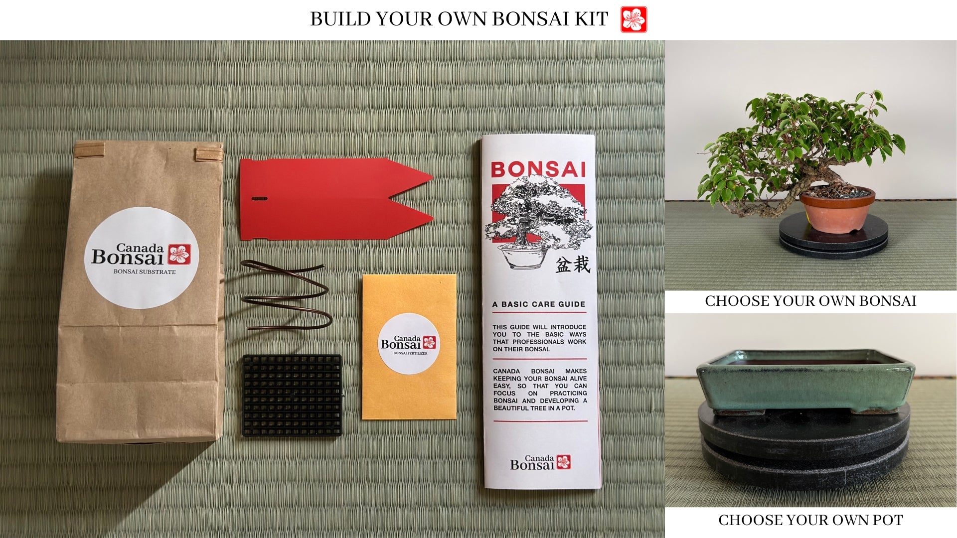 Create your own Bonsai Kit (Outdoor) - FREE SHIPPING