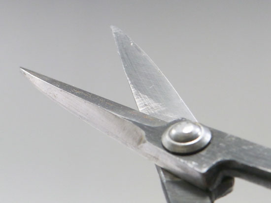 Scissors (large)