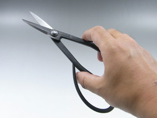 Scissors (large)
