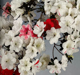 Shiroihanakazari