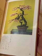 Broad Leaf Bonsai Masterpiece (signed)